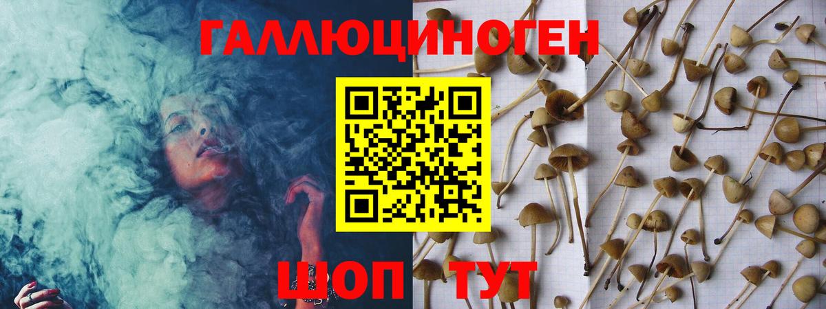 Россошь  Псилоцибиновые грибы Psilocybine cubensis  Вход с VPN  Псилоцибиновые грибы Magic Shrooms 